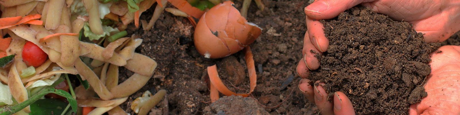 NW_Compost_AdRagas_14569_head_large.jpg