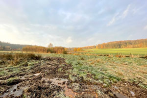 Een groen weiland met een bruin gedeelte met wat water en roestkleurige plekken